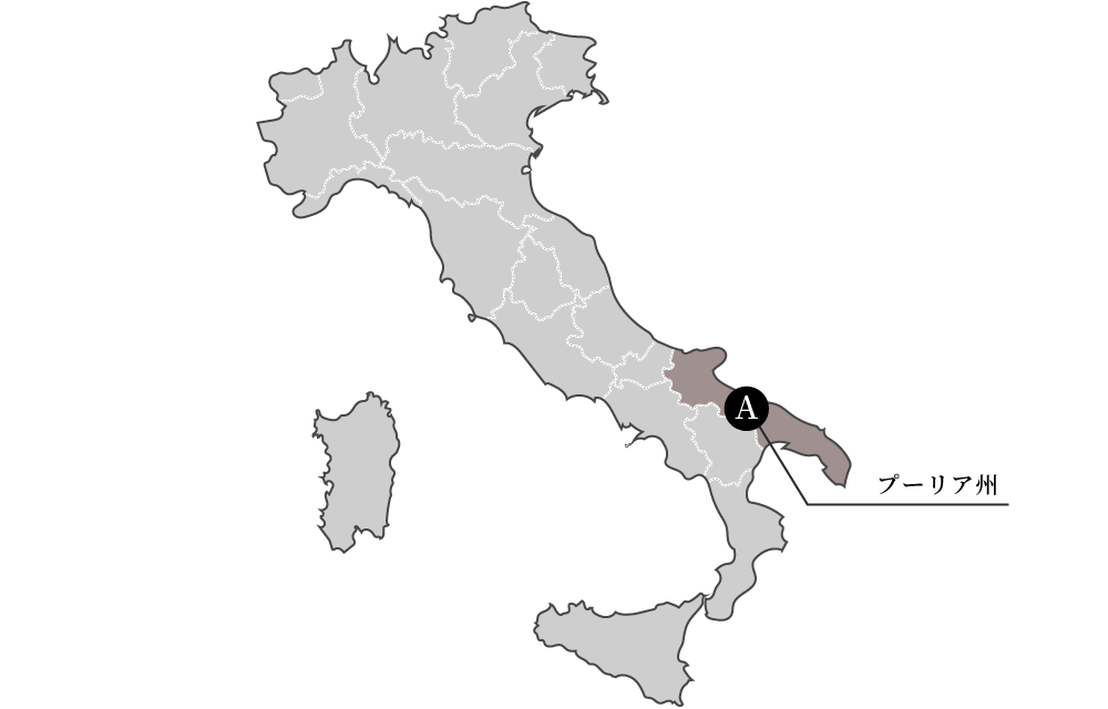 イタリアワインの地方地図